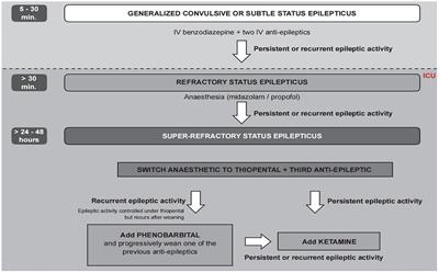 Super-refractory status epilepticus in a woman with Aeromonas caviae meningitis: a rare case report and review of the literature